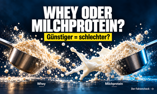 Whey wird immer teurer: Ist Milchprotein die clevere Alternative?